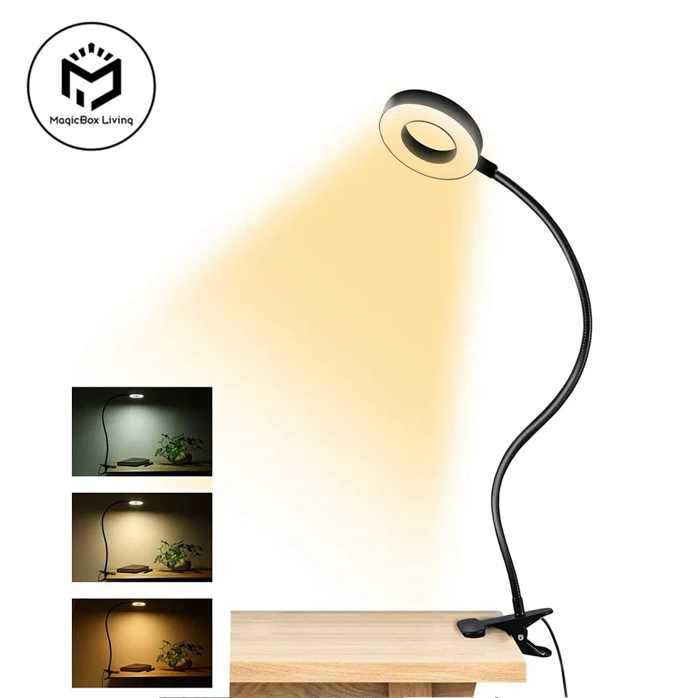 LED Desk Lamps